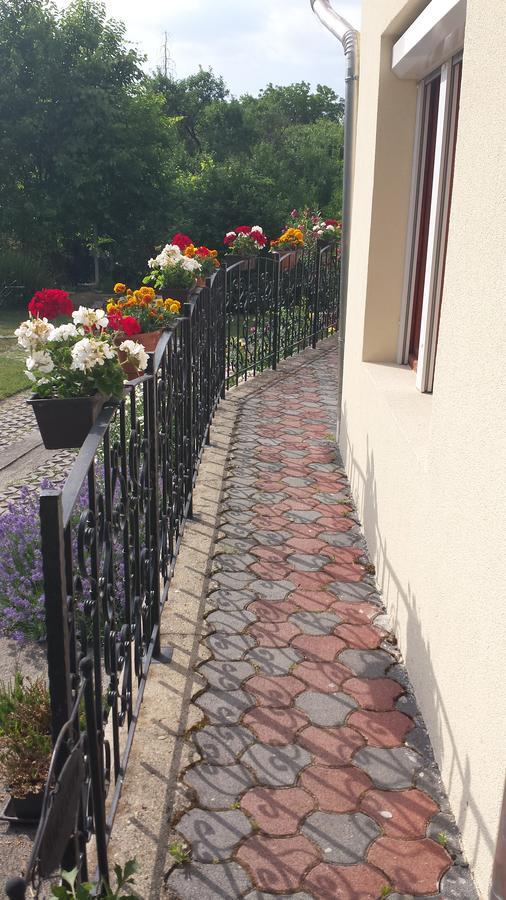 Hôtel Zempleni Vendeghaz à Erdőbénye Extérieur photo